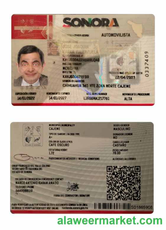 Mexico Sonora state driving license
